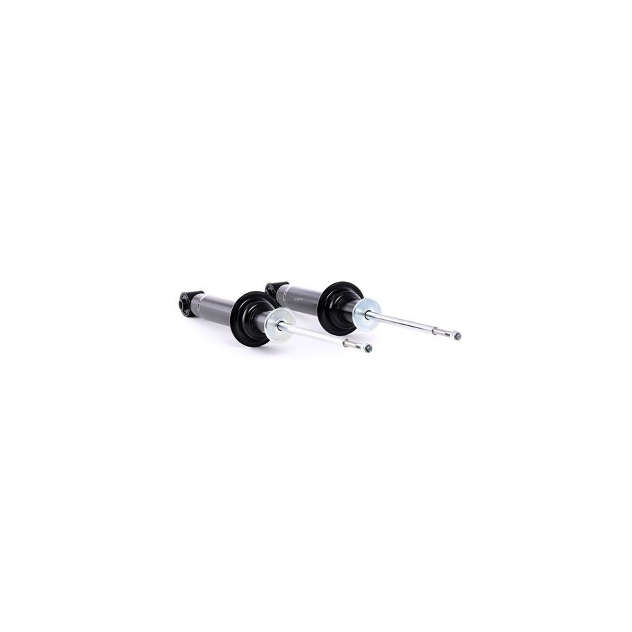 Shock Absorber - RIDEX 854S1810