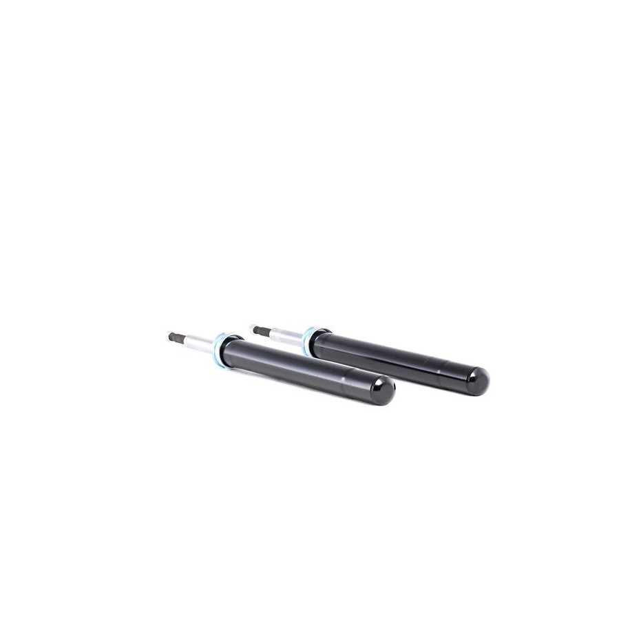 Shock Absorber - RIDEX 854S1860