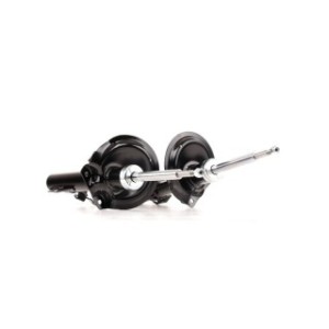 Shock Absorber - RIDEX 854S1909