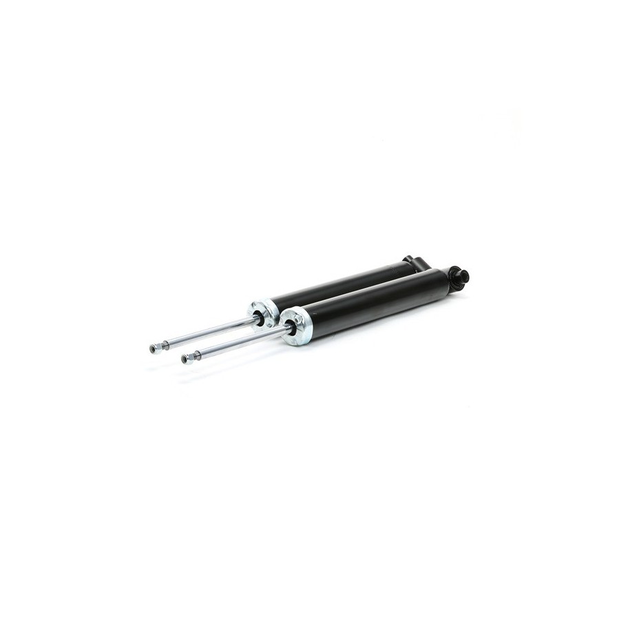 Shock Absorber - RIDEX 854S1959