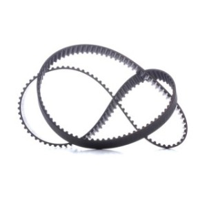 Timing Belt - RIDEX 306T0123