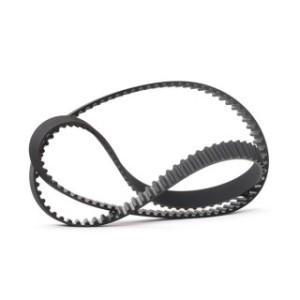 Timing Belt - RIDEX 306T0209