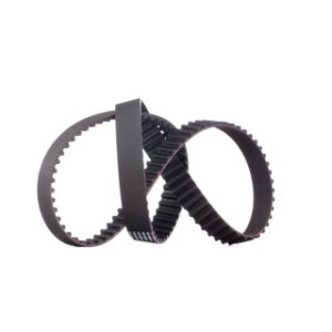 Timing Belt - RIDEX 306T0100