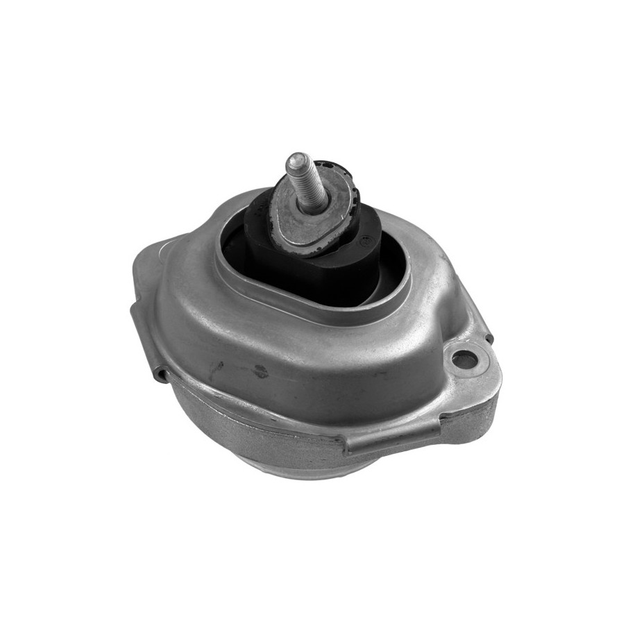 Engine Mounting LEMFORDER 3632301 OE 22113400341