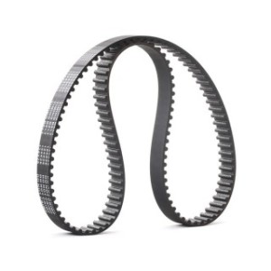 Timing Belt - RIDEX 306T0079