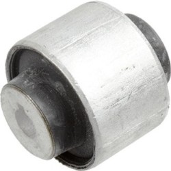 Control Trailing Arm Mounting LEMFORDER 4221401 for AUDI