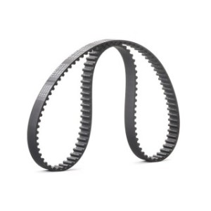 Timing Belt - RIDEX 306T0117