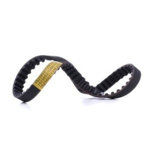 Timing Belt - RIDEX 306T0057