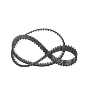 Timing Belt - RIDEX 306T0161