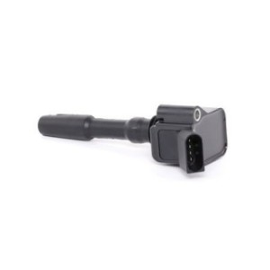 Ignition Coil - RIDEX 689C0031