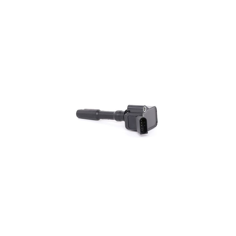 Ignition Coil - RIDEX 689C0031
