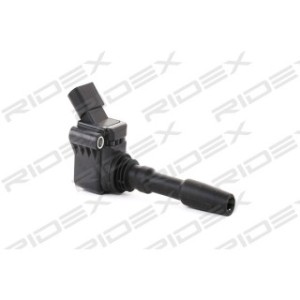 Ignition Coil - RIDEX 689C0031