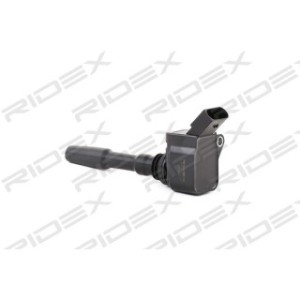 Ignition Coil - RIDEX 689C0031