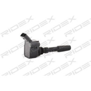 Ignition Coil - RIDEX 689C0031