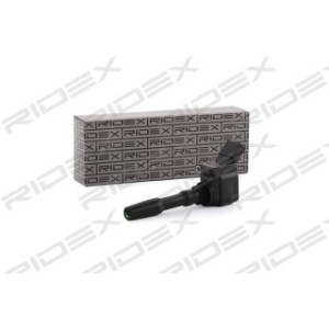 Ignition Coil - RIDEX 689C0031