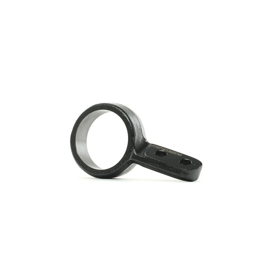 Control/Trailing Arm Bush - RIDEX 251T0176