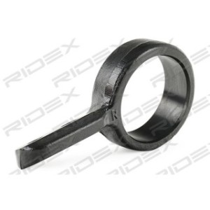 Control/Trailing Arm Bush - RIDEX 251T0176