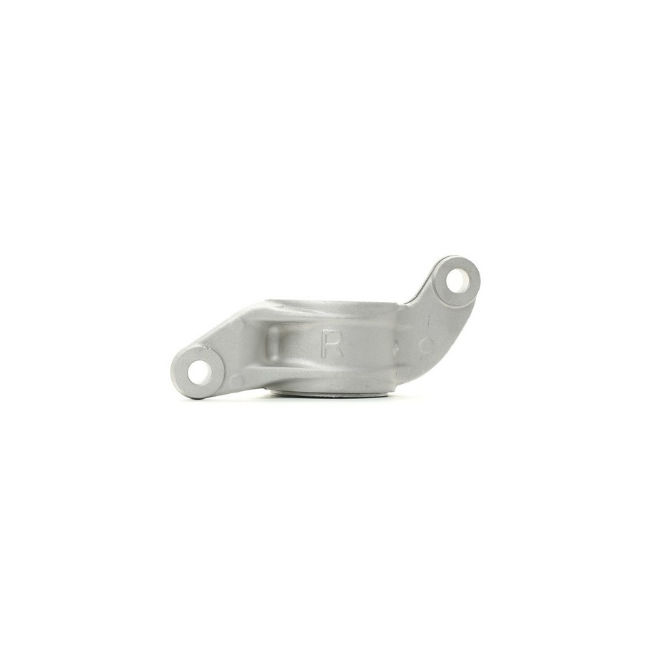 Control/Trailing Arm Bush - RIDEX 251T0208