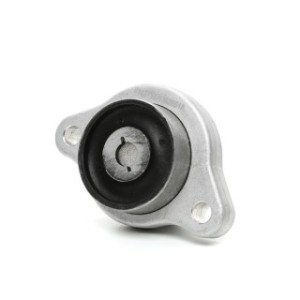 Control/Trailing Arm Bush - RIDEX 251T0509