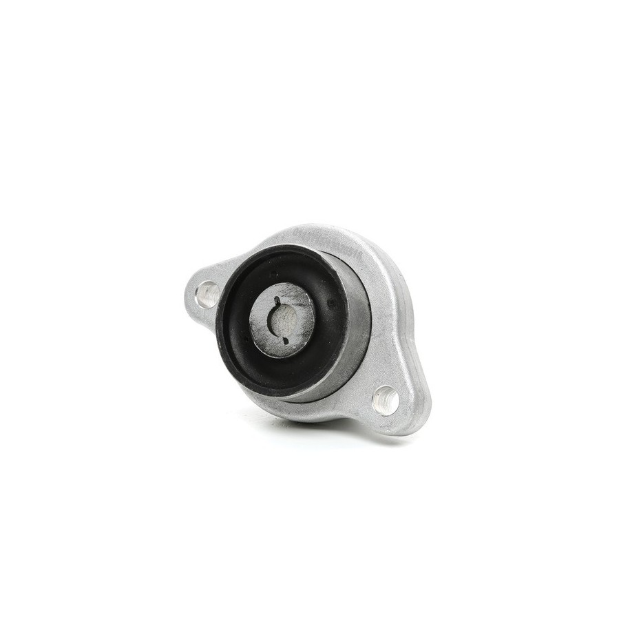 Control/Trailing Arm Bush - RIDEX 251T0509
