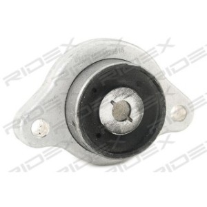 Control/Trailing Arm Bush - RIDEX 251T0509