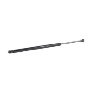 Tailgate Strut - RIDEX 219G0176