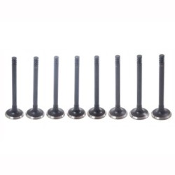 Intake Valve MASTER SPORT 12IN-SET 8 -MS for LADA 110