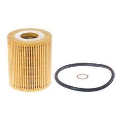 Oil Filter MASTER SPORT 818X-OF-PCS-MS for ALPINA