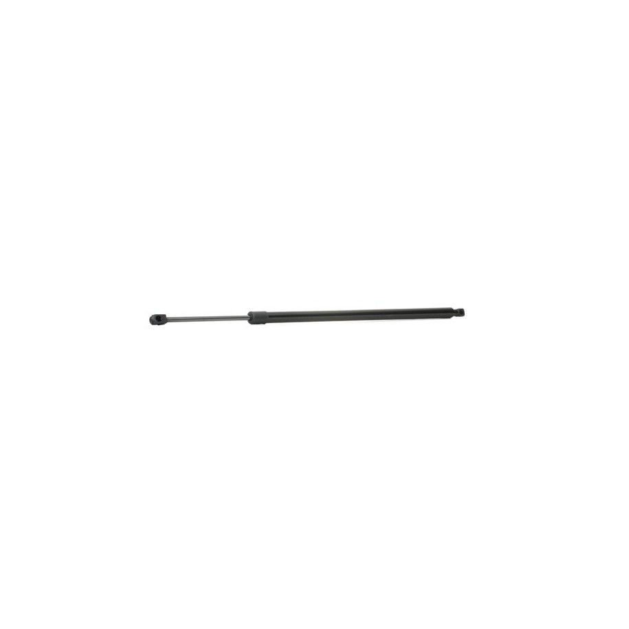 Tailgate Strut - RIDEX 219G0314