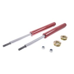 Shock Absorber MASTER SPORT 2170-VEH-SET 2 -MS for LADA PRIORA