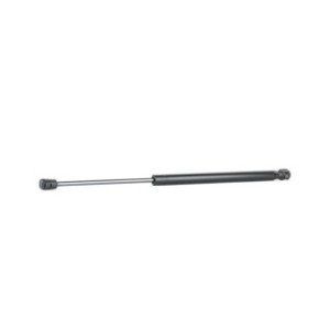 Tailgate Strut - RIDEX 219G0404