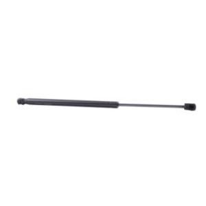 Tailgate Strut - RIDEX 219G0405