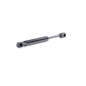 Tailgate Strut - RIDEX 219G0408