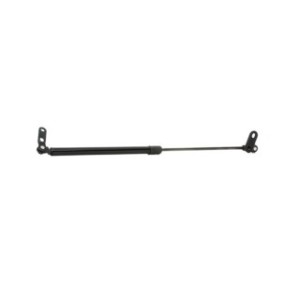 Tailgate Strut - RIDEX 219G0412