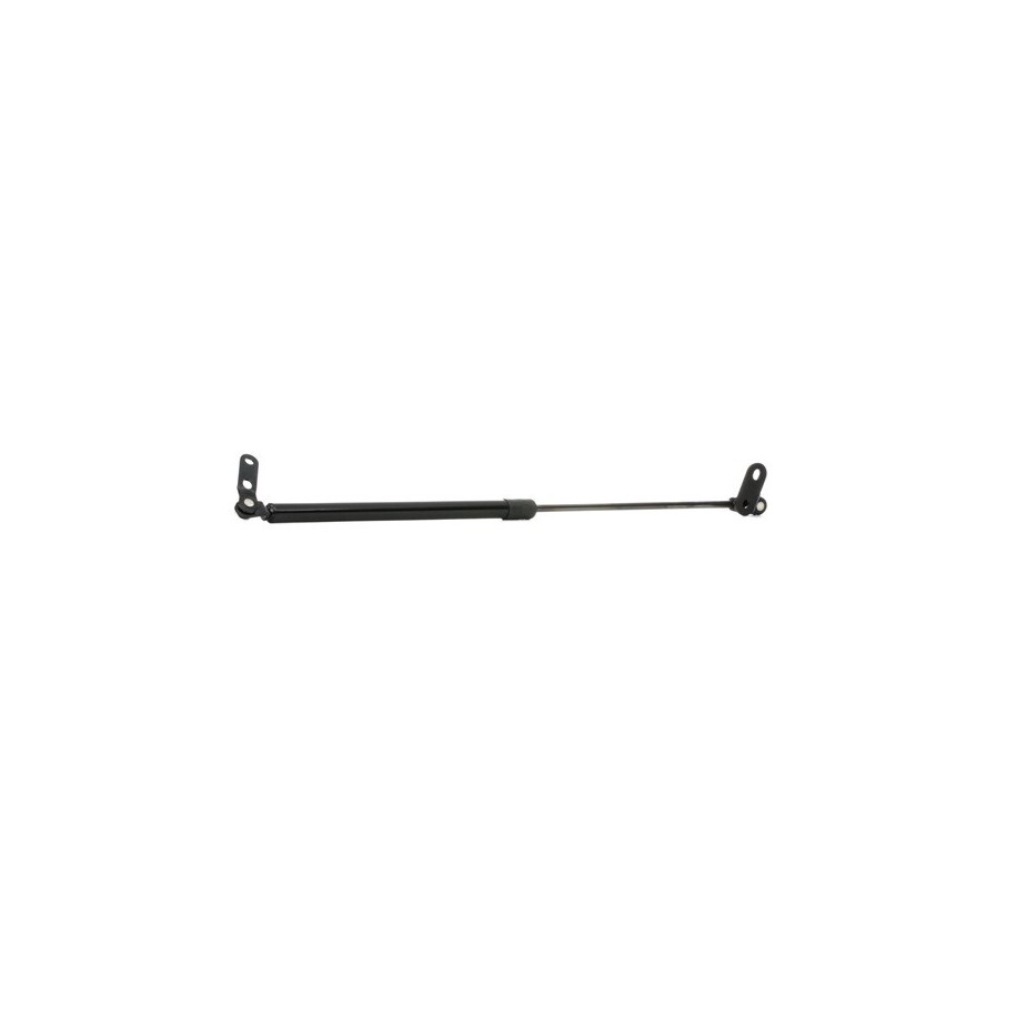 Tailgate Strut - RIDEX 219G0412