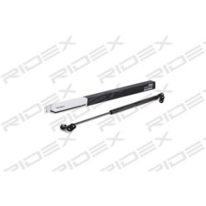 Tailgate Strut - RIDEX 219G0412