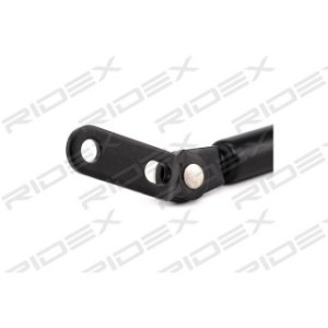 Tailgate Strut - RIDEX 219G0412