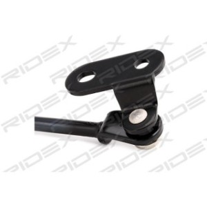 Tailgate Strut - RIDEX 219G0412