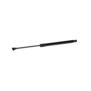 Tailgate Strut - RIDEX 219G0415