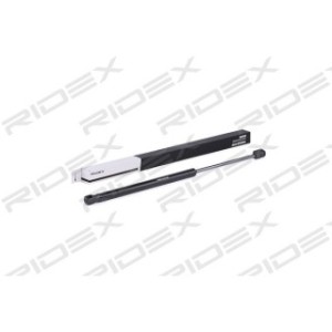 Tailgate Strut - RIDEX 219G0428