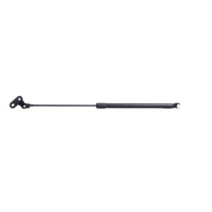 Tailgate Strut - RIDEX 219G0431
