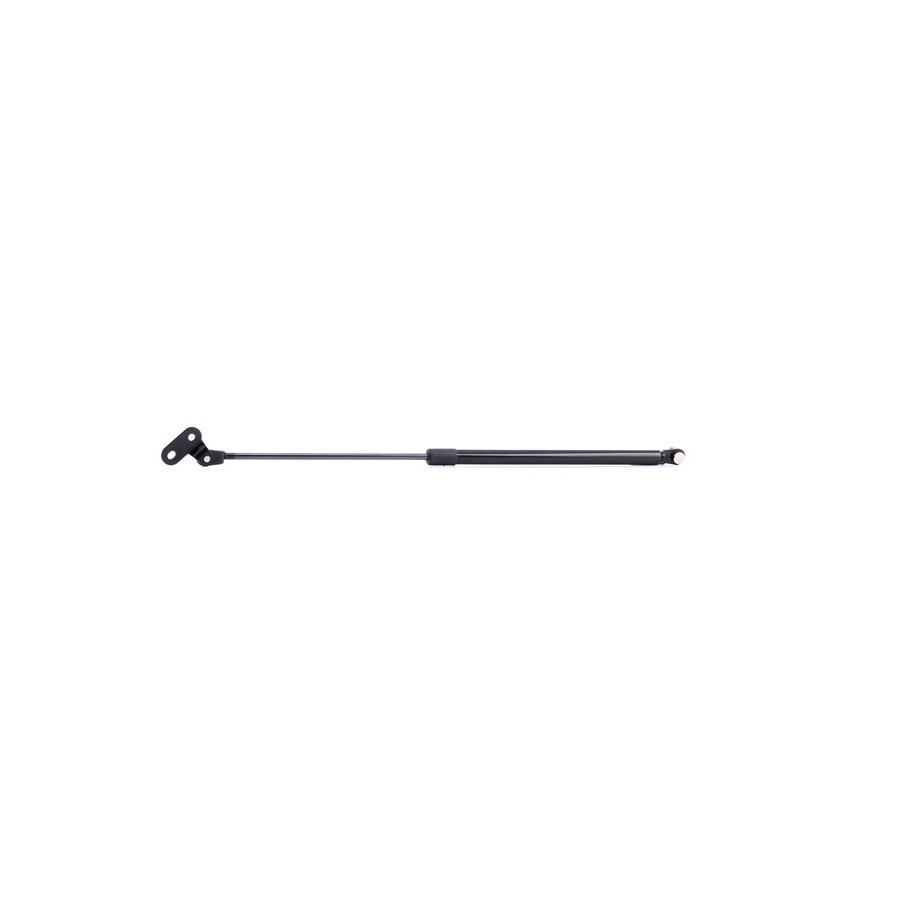 Tailgate Strut - RIDEX 219G0431