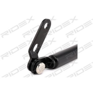 Tailgate Strut - RIDEX 219G0431