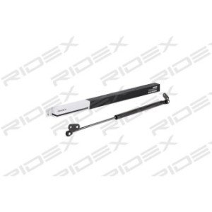 Tailgate Strut - RIDEX 219G0431