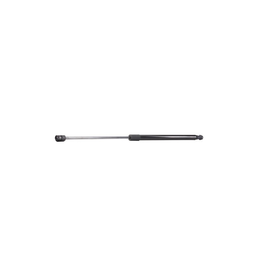Tailgate Strut - RIDEX 219G0446