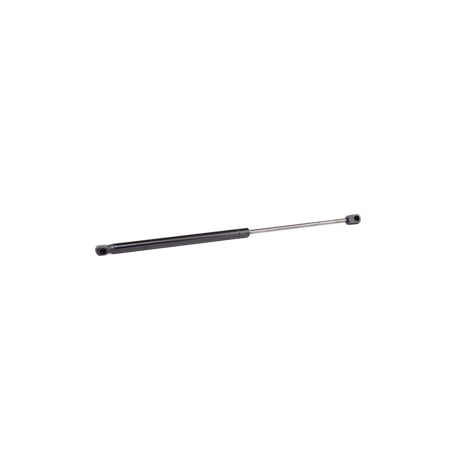 Tailgate Strut - RIDEX 219G0447