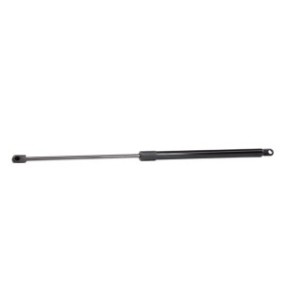 Tailgate Strut - RIDEX 219G0453