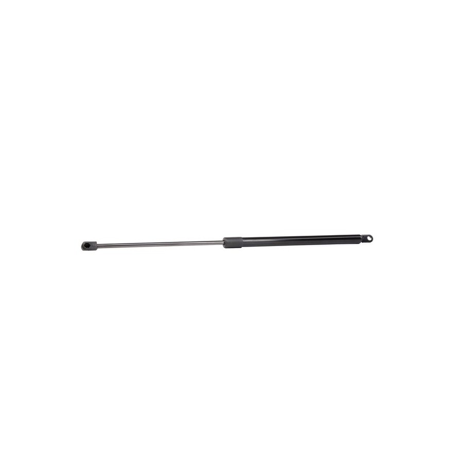 Tailgate Strut - RIDEX 219G0453