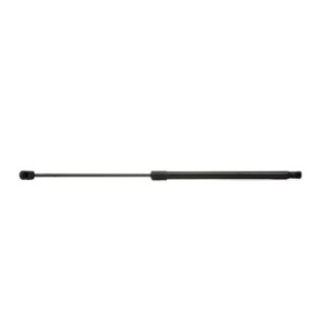 Tailgate Strut - RIDEX 219G0455