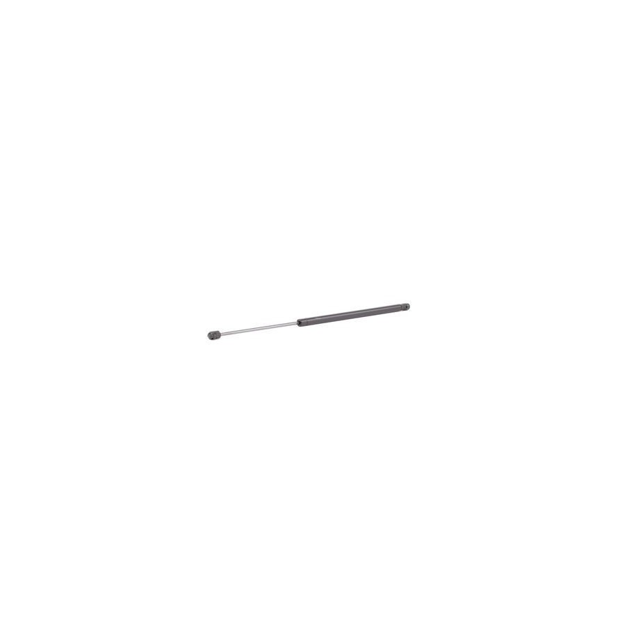 Tailgate Strut - RIDEX 219G0460